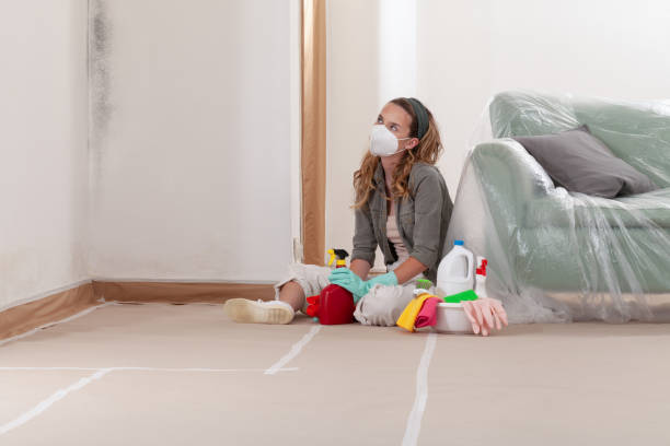 Reliable Commercial Mold Remediation contractor in Hopewell, VA by WQB Mold Removal